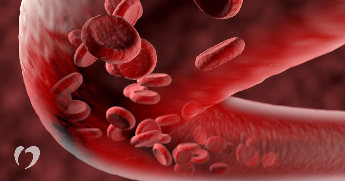 Blood Builders